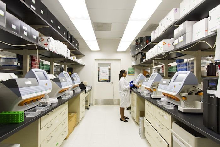 In Vitro Fertilisation (IVF)